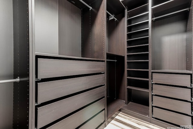 7519 Paraiso Hvn, Boerne, TX 78015 - view of spacious closet