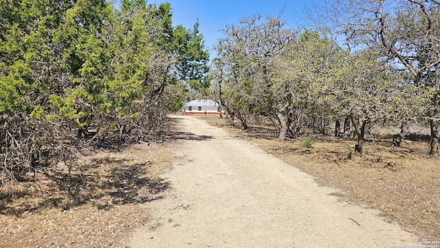 view of street featuring dirt driveway