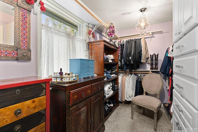 view of walk in closet