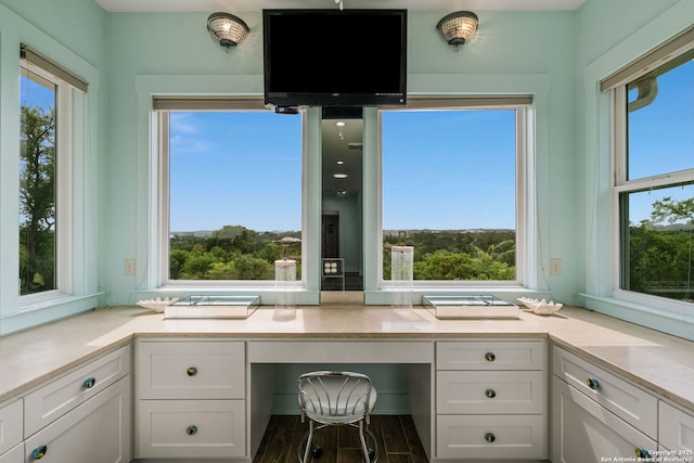1626 Cordillera Trce, Boerne, TX 78006 - unfurnished office featuring wood finished floors and built in study area