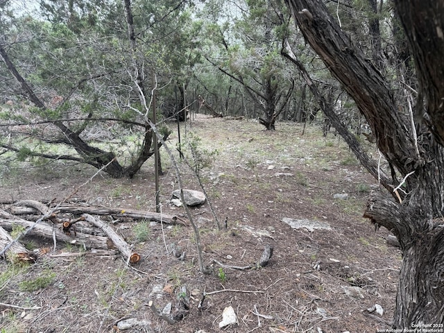 1430 Circle Acres, Bulverde, TX 78163