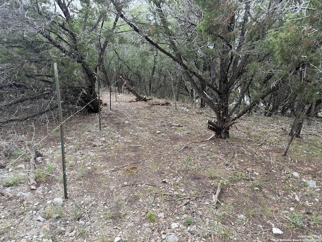 1430 Circle Acres, Bulverde, TX 78163