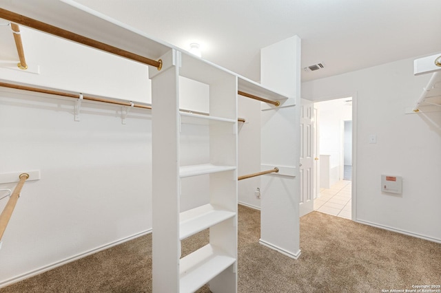 12319 Stable Road Dr, San Antonio, TX 78249 - spacious closet with visible vents and carpet floors