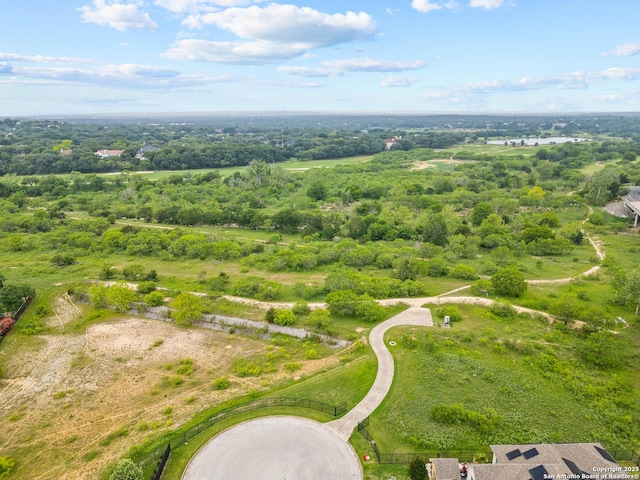 8010 Cibolo Vw, Boerne, TX 78015 - drone / aerial view