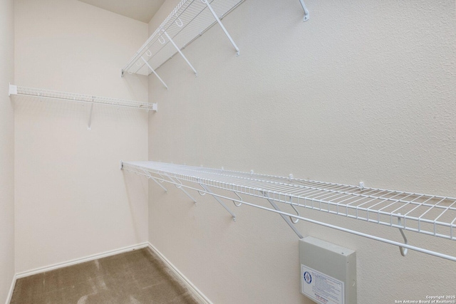 14204 Auberry, Helotes, TX 78023 - walk in closet with carpet floors