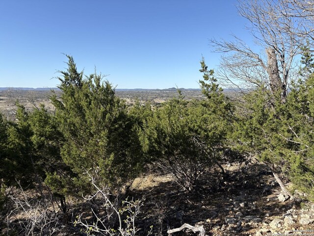 LOT209 Palomino Spgs, Bandera, TX 78003