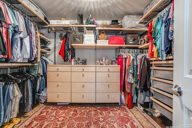 15110 Grayoak Frst, San Antonio, TX 78248 - view of walk in closet