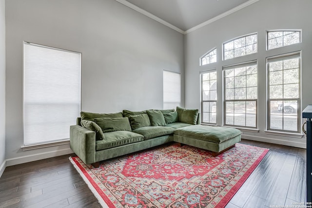 15110 Grayoak Frst, San Antonio, TX 78248 - living area with dark wood-style floors, a high ceiling, crown molding, and baseboards