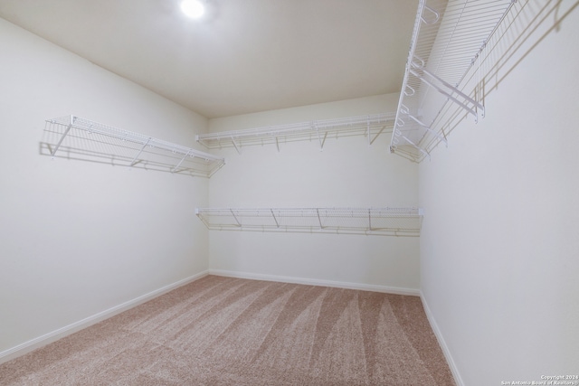 14914 Telfaire Mdw, Von Ormy, TX 78073 - spacious closet featuring carpet flooring