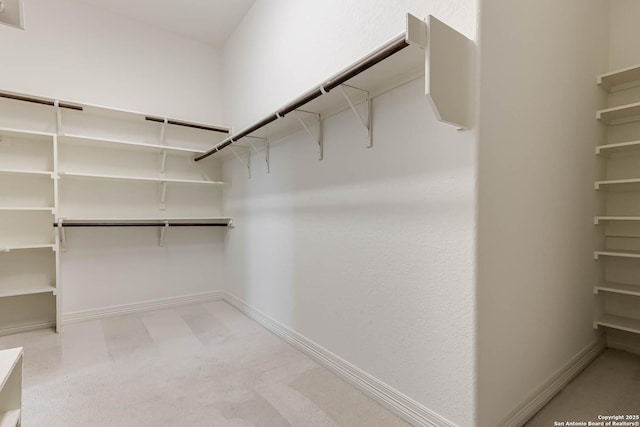 spacious closet featuring light carpet