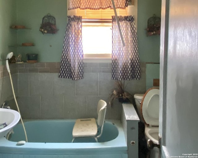 bathroom with a bathing tub and toilet