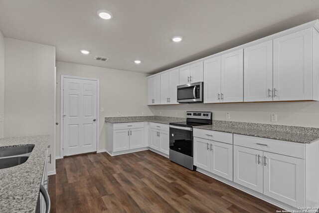819 Bluegrass Pt, New Braunfels, TX 78130 - kitchen with dark wood-style flooring, visible vents, stainless steel appliances, and recessed lighting