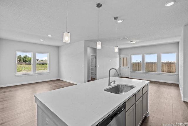 2074 Newforest Peak, New Braunfels, TX 78130 - kitchen featuring a sink, open floor plan, dishwasher, wood finished floors, and recessed lighting
