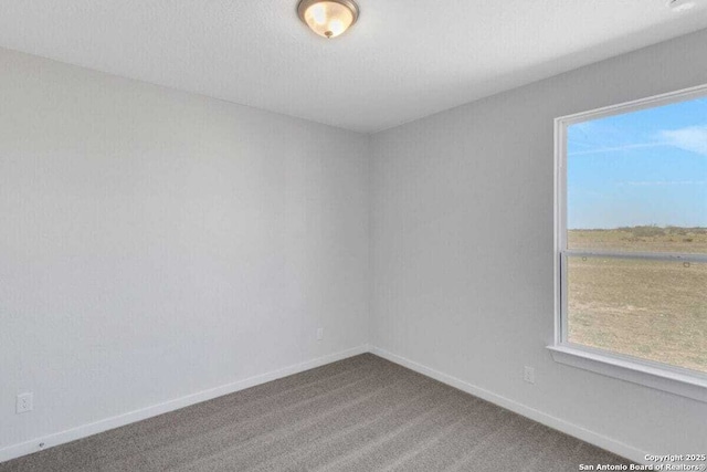 1518 Passmore Downs, New Braunfels, TX 78130 - carpeted empty room with baseboards