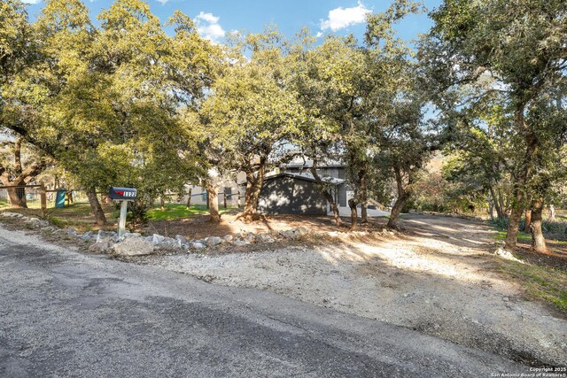 view of property hidden behind natural elements with driveway