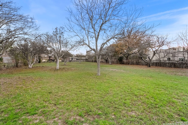 262 Rockhill Dr, San Antonio, TX 78209 - view of yard
