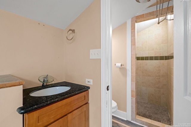 bathroom with a sink, toilet, and tiled shower