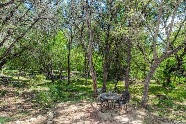 14834 Churchill Estates Blvd, San Antonio, TX 78248 - view of yard featuring a patio