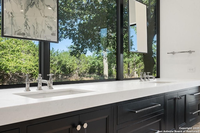 interior space with double vanity, a healthy amount of sunlight, and a sink