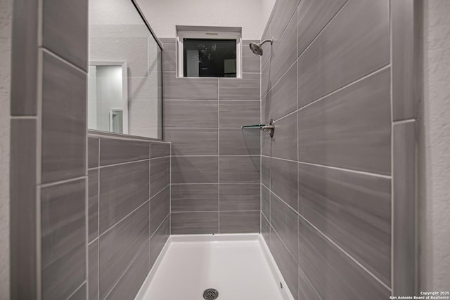 9331 Pioneer Jct, San Antonio, TX 78254 - full bathroom with a tile shower