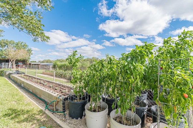 view of yard with a garden and fence
