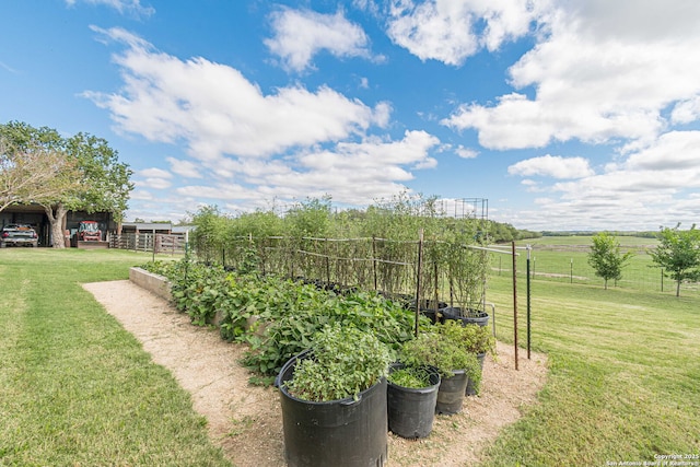 view of yard featuring a carport, fence, and a garden