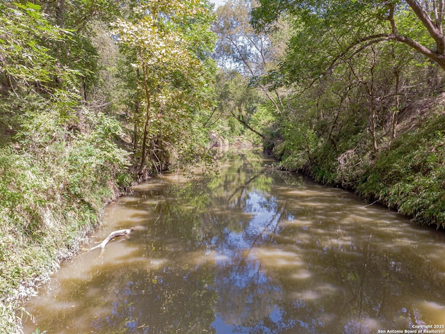 view of water feature featuring a forest view
