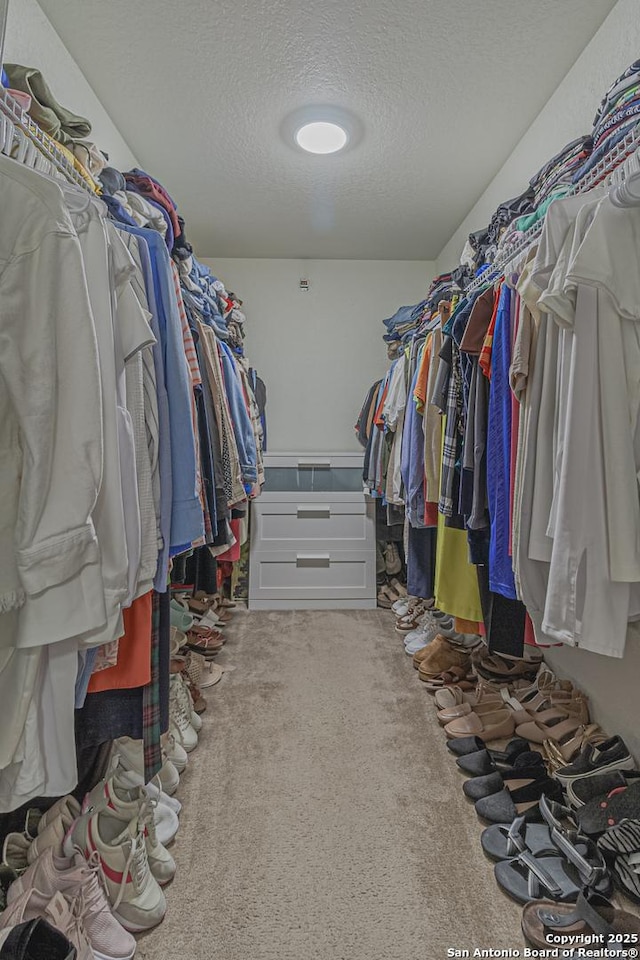 4907 Heather Pass, San Antonio, TX 78218 - spacious closet with carpet