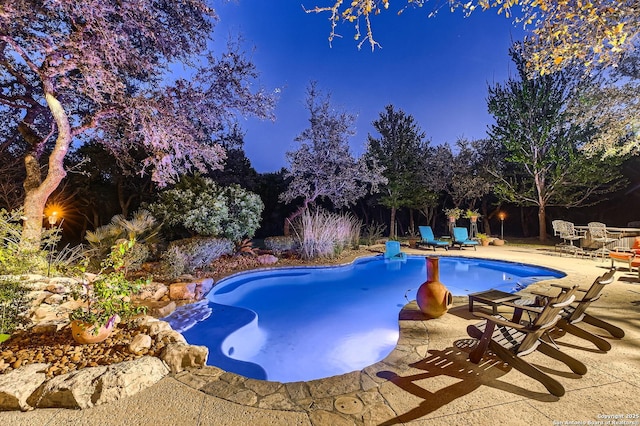 409 Sandy Oaks, Boerne, TX 78015 - view of swimming pool with fence, a patio area, and a fenced in pool