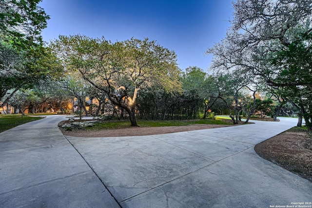 409 Sandy Oaks, Boerne, TX 78015 - view of street with concrete driveway