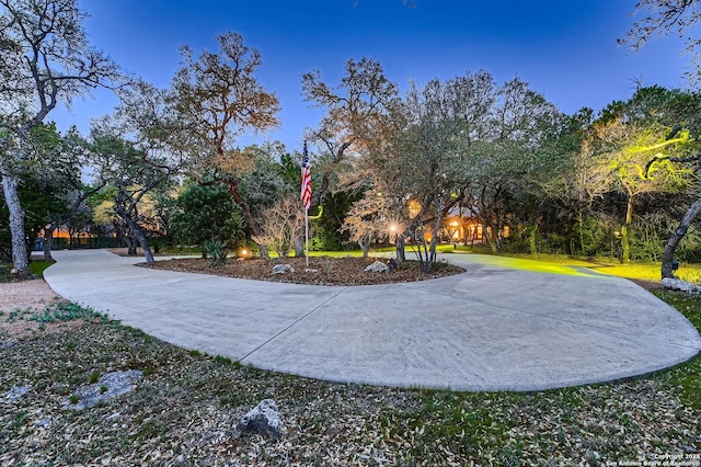 409 Sandy Oaks, Boerne, TX 78015 - view of home's community with curved driveway