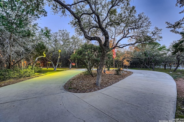 409 Sandy Oaks, Boerne, TX 78015 - view of home's community featuring curved driveway