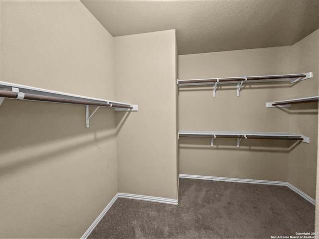 10434 Sun Ml, San Antonio, TX 78254