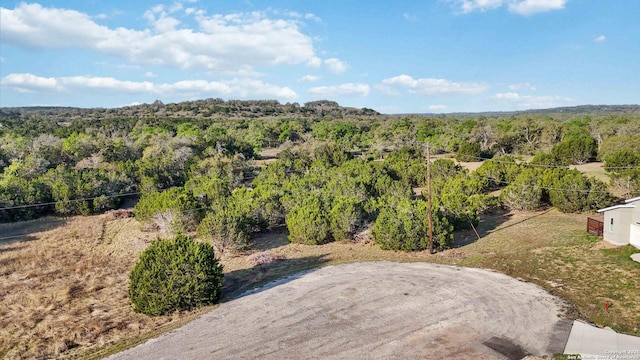 125 Liberty Bell Ln, Fischer, TX 78623