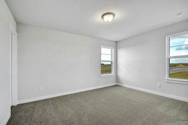 1592 Estelea Grv, New Braunfels, TX 78130