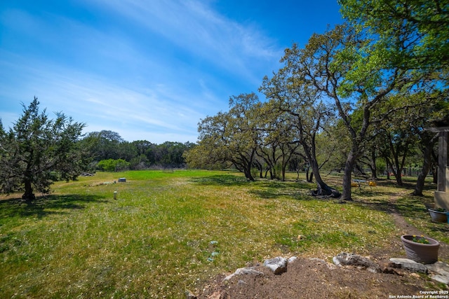 1931 Havenwood Blvd, New Braunfels, TX 78132 - view of yard