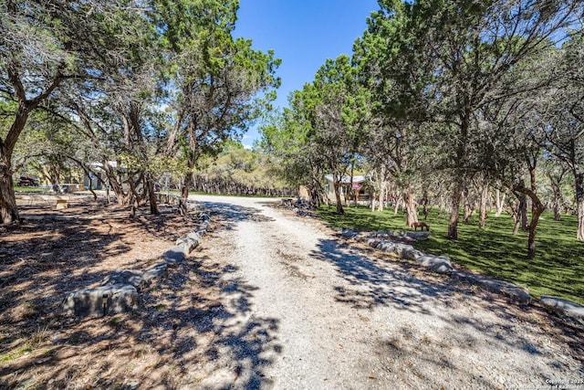 view of road featuring driveway