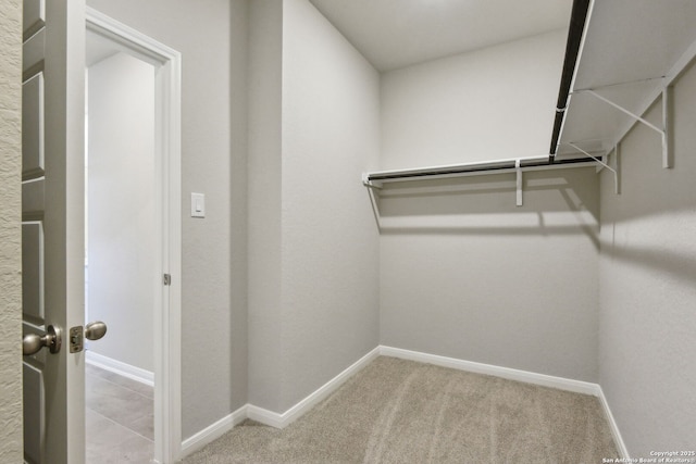 139 Perciful Ave, Cibolo, TX 78108 - walk in closet with carpet