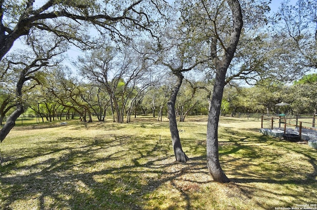 1609 Havenwood, New Braunfels, TX 78132 - view of yard