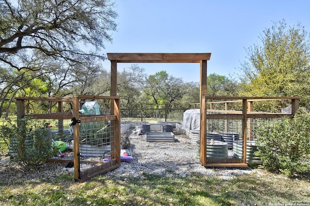 1609 Havenwood, New Braunfels, TX 78132 - view of yard featuring a vegetable garden