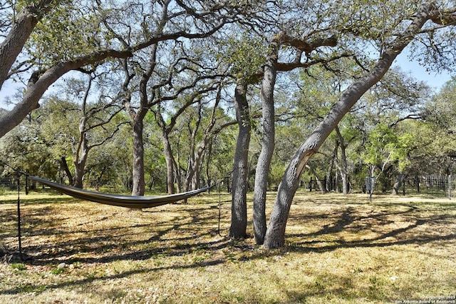 1609 Havenwood, New Braunfels, TX 78132 - view of surrounding community