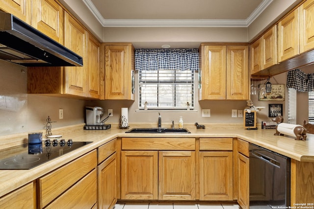 kitchen featuring black electric cooktop, dishwasher, ornamental molding, under cabinet range hood, and a sink