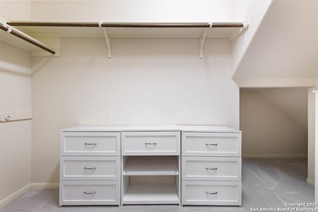 walk in closet with light carpet