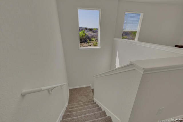 stairway with baseboards and carpet flooring