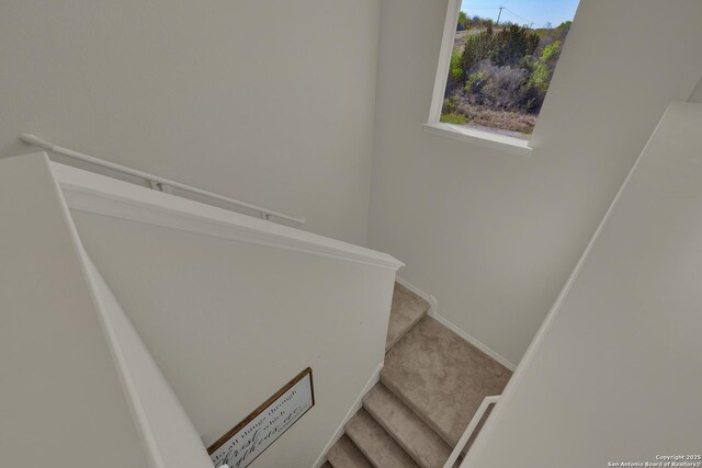 stairs featuring baseboards and carpet floors