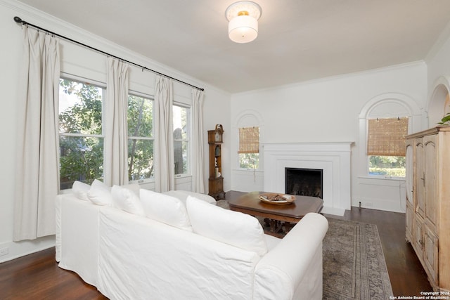 living area featuring a fireplace, a healthy amount of sunlight, crown molding, and dark wood finished floors