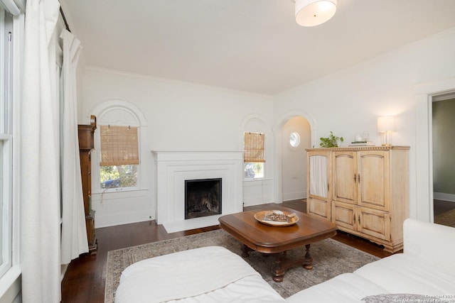 living room with baseboards, a fireplace, ornamental molding, dark wood-type flooring, and arched walkways