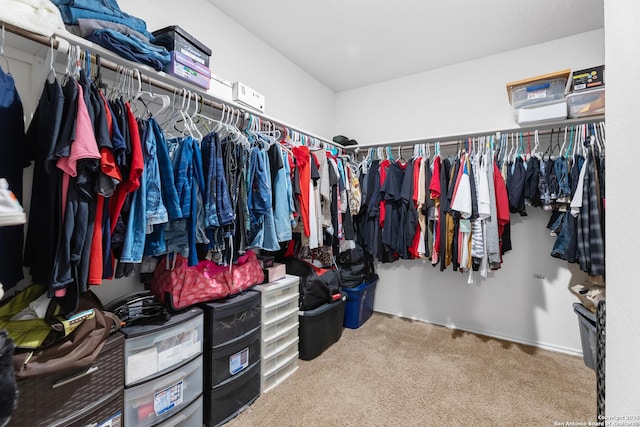 walk in closet with carpet flooring