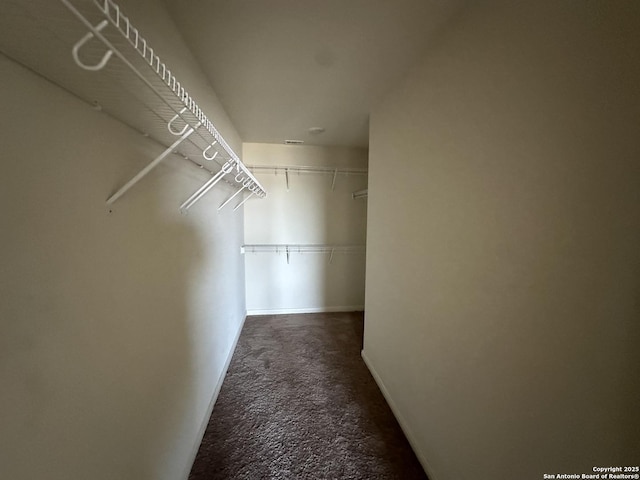 spacious closet with carpet floors