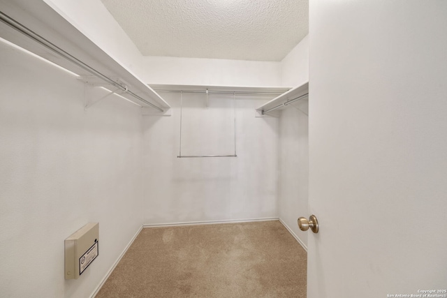 9911 Alexa Pl, San Antonio, TX 78251 - spacious closet featuring carpet flooring